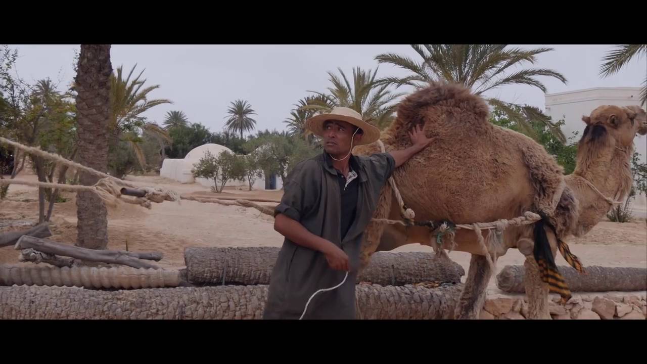 Balti Fel Barima Layam Kif Erih: Discover the Secret to Effective Communication