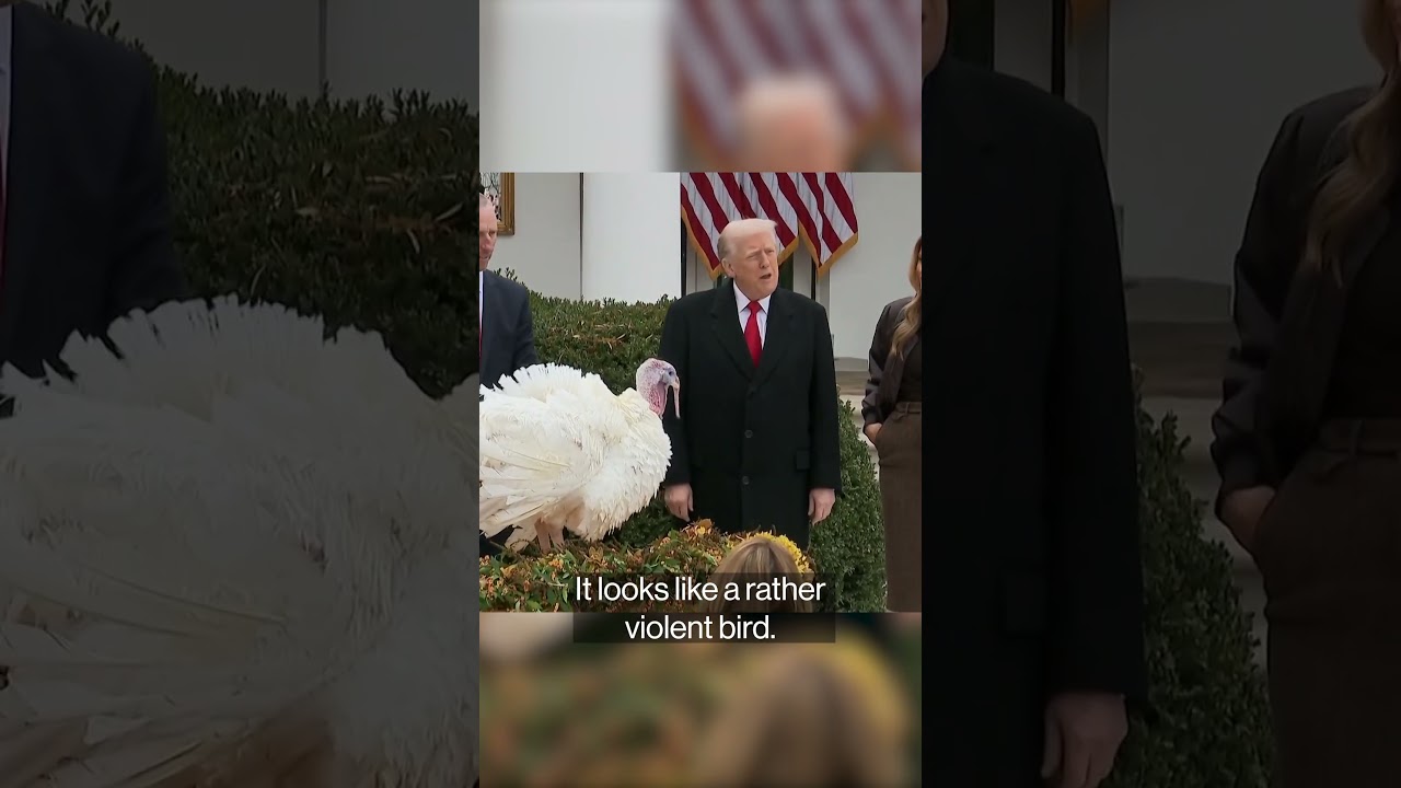 Trump Pardons Turkeys Gobble & Waddle 🦃