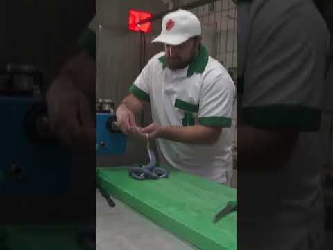 Metzger kreiert Parteifarbene Bratwurst für die deutschen Wahlen | Republic News Deutsch | AC1B