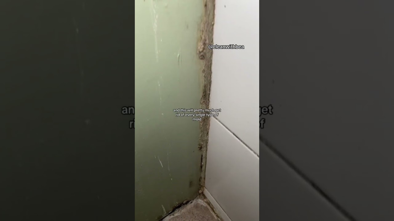 How I get Rid of Mould  #cleaningtransformation #mold  #beforeandafter