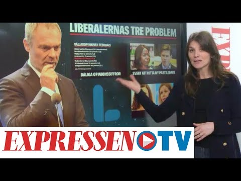 Liberalernas tre problem: ”Den här typen av händelser kan skada partiet”