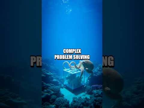 Five Quick Frontiers You Never Saw Coming