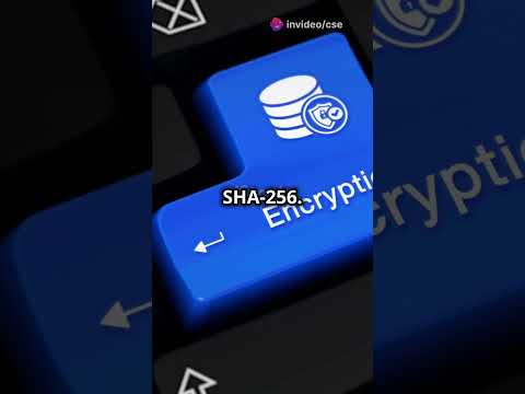 Hashing vs Encryption – What's the Difference?