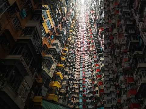 Places in Hong Kong That Don't Feel Real! 🇭🇰✨ #travel #nature #adventure #explorepage