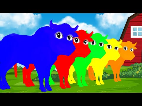 PINTA E LIMPA BOI DA CARA PRETA 🐂🎨| APRENDENDO AS CORES 🎨| LEARN COLOR 🎨| Pinta y Limpia Colores🖌️🎨