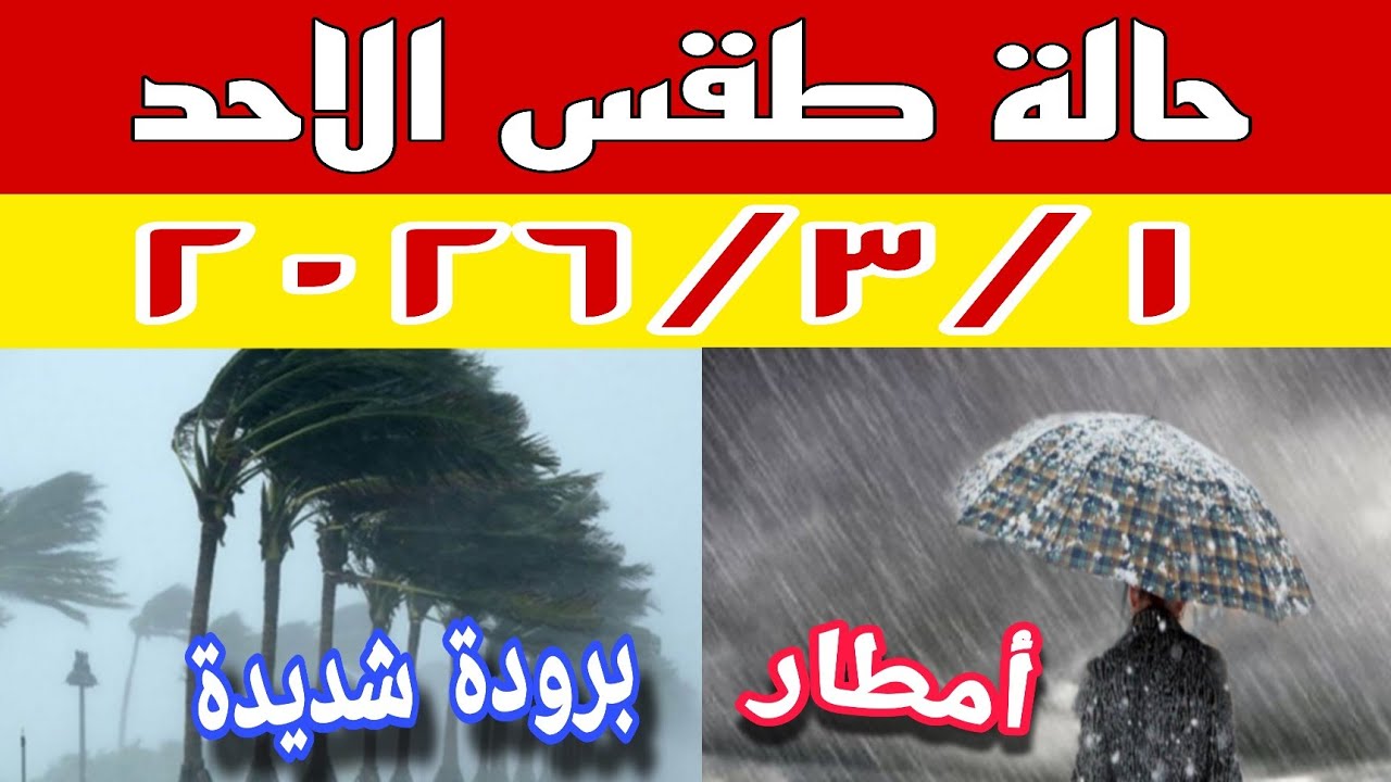 انخفاض جديد في الحرارة وأمطار تضرب هذه المناطق غدا الأحد ٢٠٢٦/٣/١.. أجواء شتوية قوية