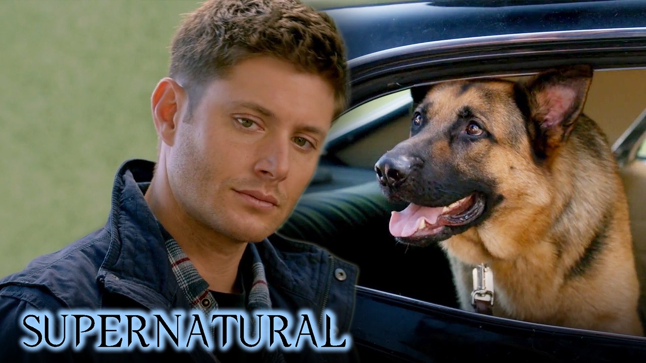 Dean Can Talk to Dogs in Supernatural S9E5 🐶