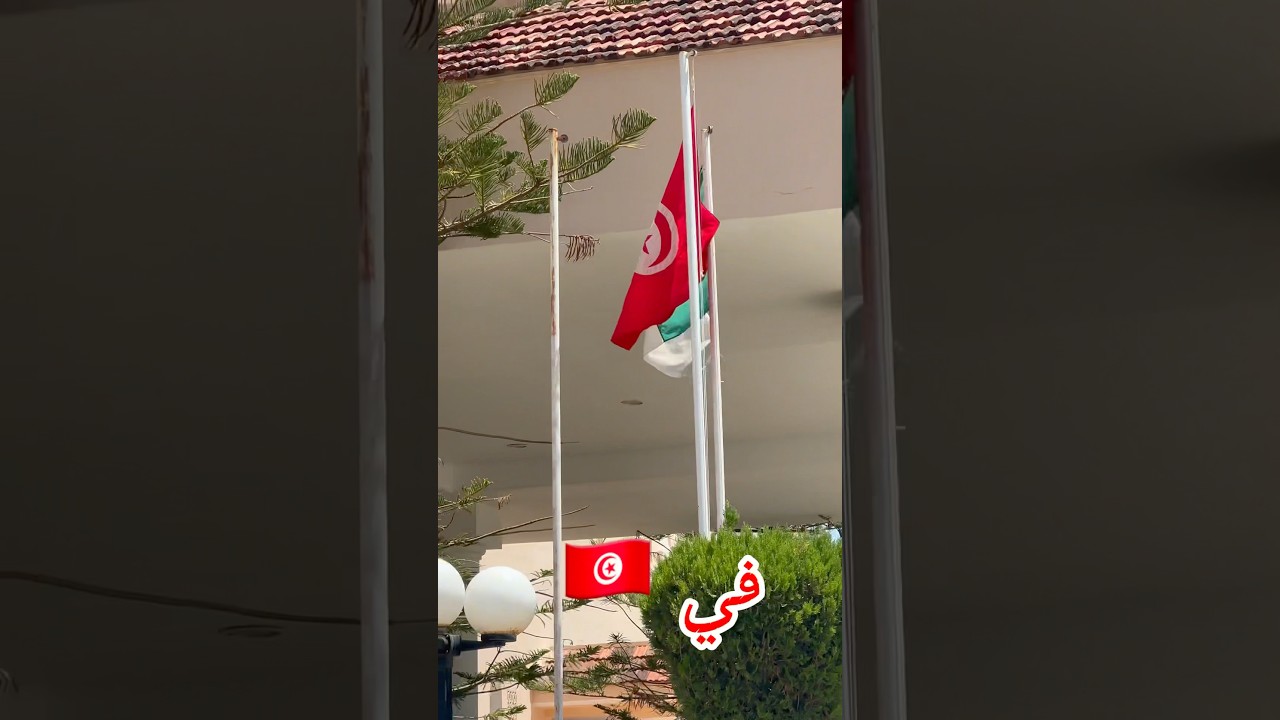 أول يوم في تونس 🇹🇳 تجربة رائعة