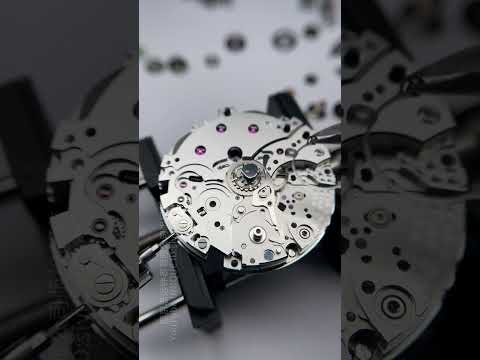 Let's count how many gears are in this OMEGA~ #asmr #omega