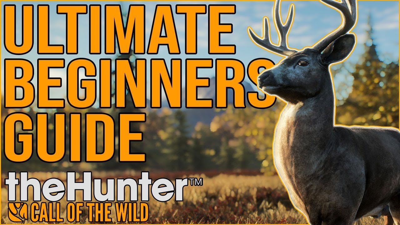 theHunter Call of the Wild Beginner's Guide 2022 🦌