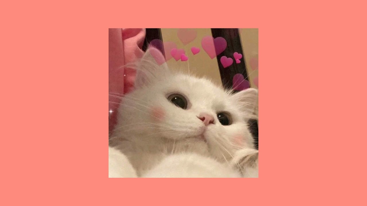 Comethru | Speed Up Your Mood 🎶