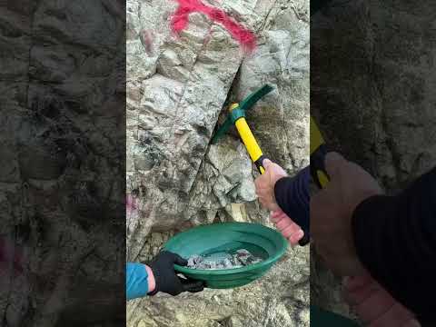 Finding gold in bedrock #goldrush #goldprospecting #mining #river #scorpion