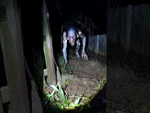 scary videos #scary #horror #movie #scaryvideos #ghost #monster #animals #nightmare #terrifying