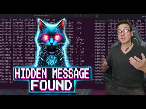 Hiding SECRETS in CAT Pics