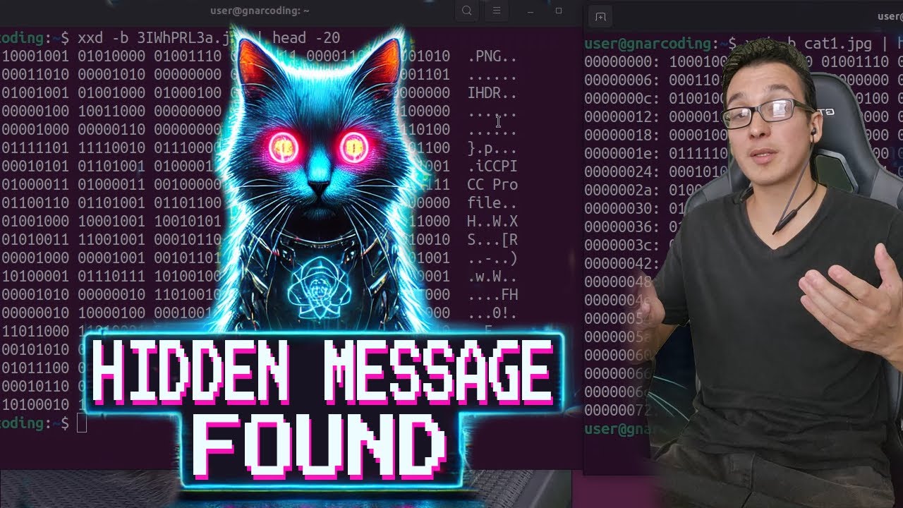 Uncover Hidden Messages in Cat Photos 🐱 | Steganography Secrets Revealed