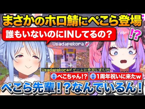 ホロ鯖でひとりぼっちのヴィヴィ、1周年をサプライズでお祝いする粋なぺこちゃん【ホロライブ/綺々羅々ヴィヴィ/兎田ぺこら/切り抜き】