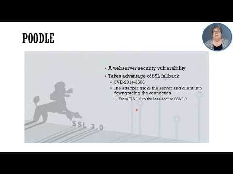 20.10 Cryptography Attacks