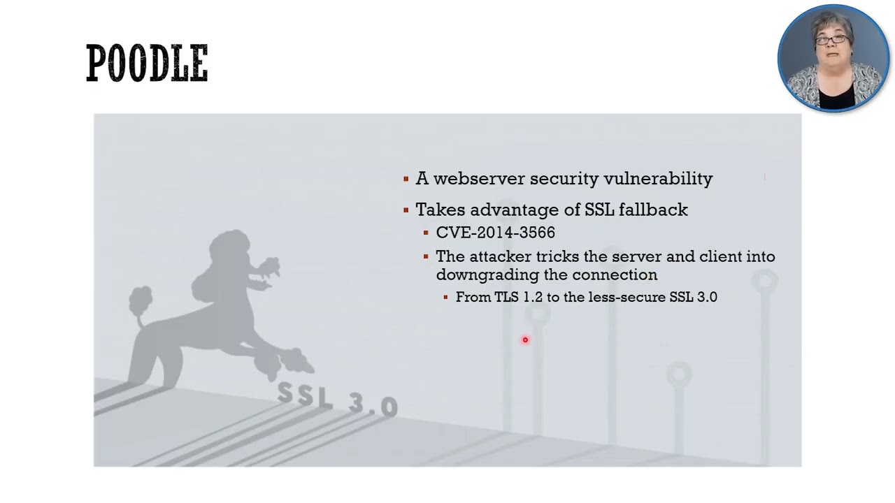 Cryptography Attacks Explained: Protect Your Data from Cyber Threats 🔐