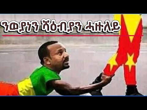 ንወያነን ሻዕብያን ሓዙለይ! #Alenamediatv #Eritrea #Ethiopia #Tigray #History #Asmara #Habesha