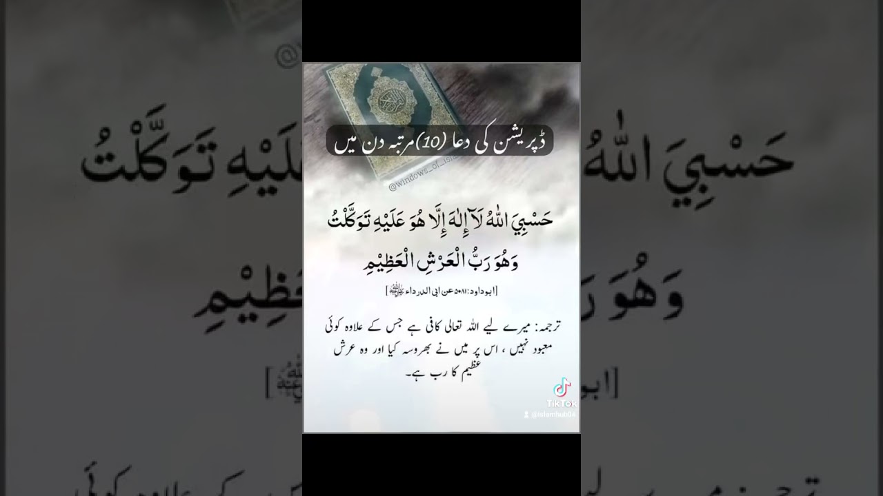 Learn About Islam and Its Teachings ✨