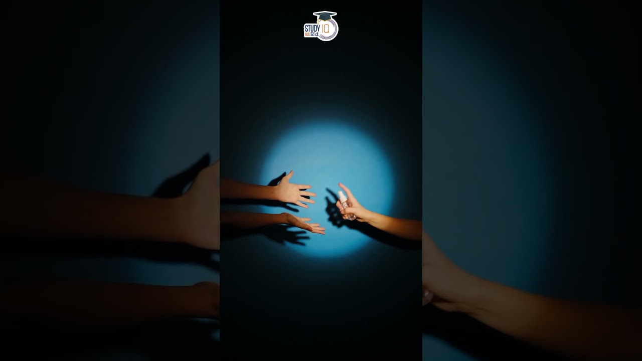 Sanitizer Science: Your Invisible Germ Shield 🧴