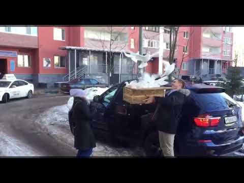 14 февраля День всех влюбленных