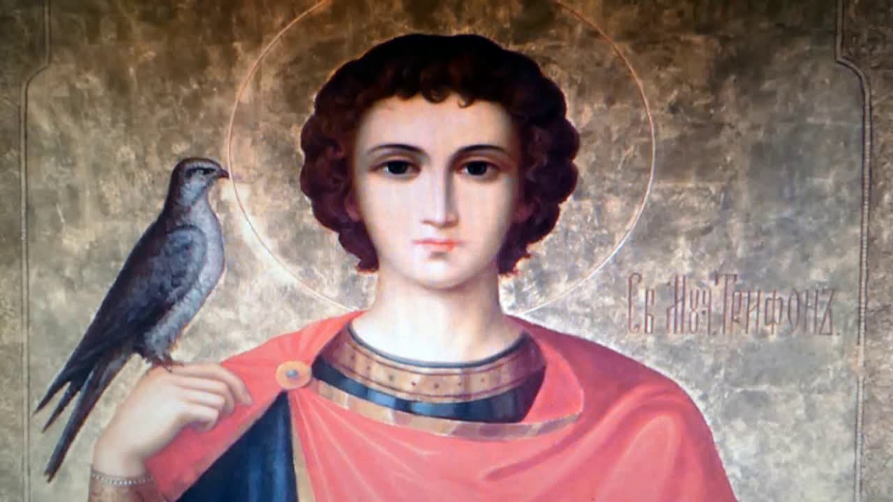 Молитвы о работе и святому Трифону 🙏