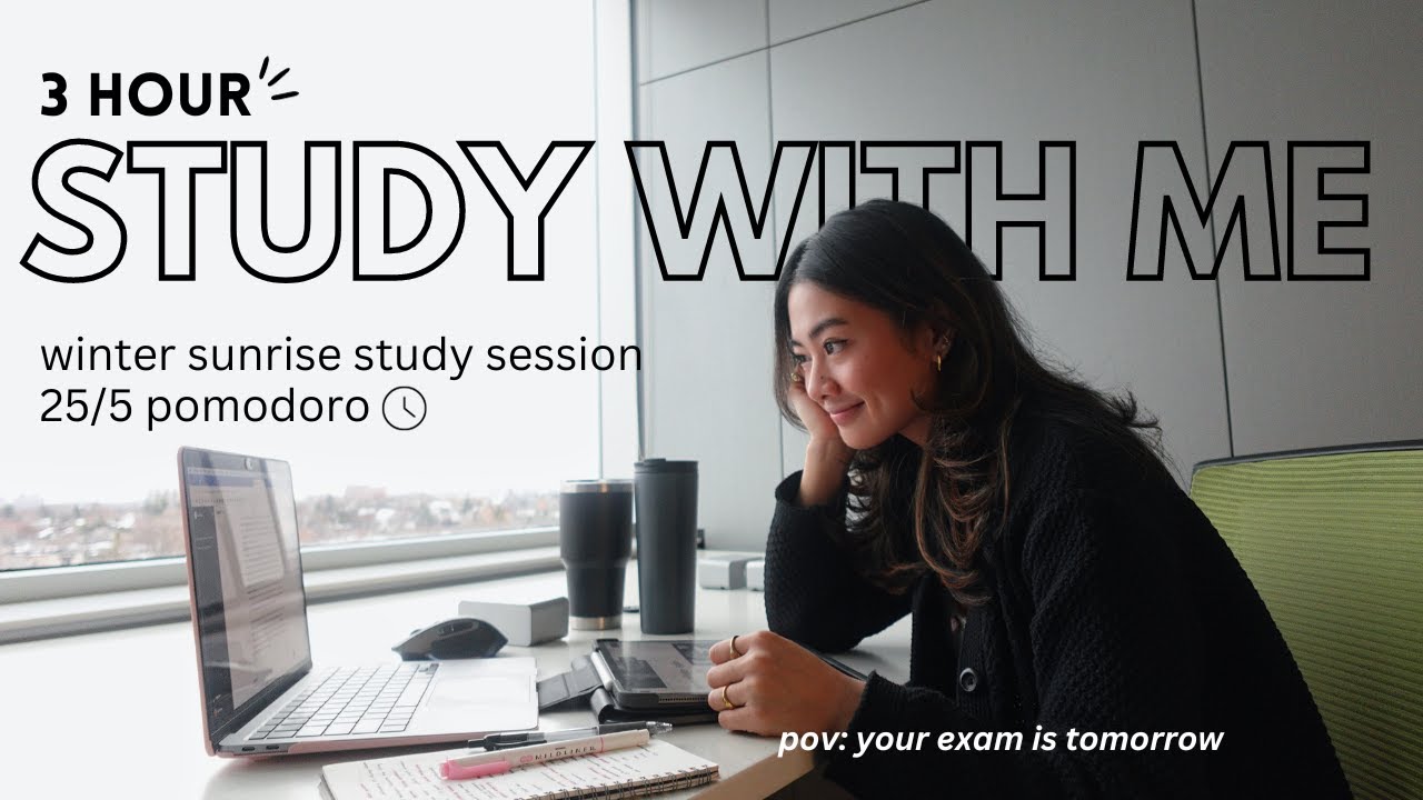 3-Hour Cozy Winter Study Session ❄️☕