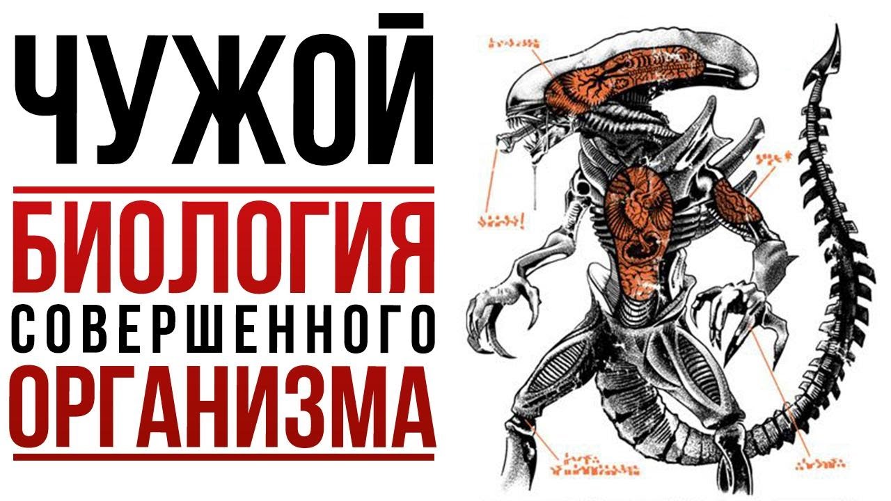 Чужой: Биология идеального хищника 👽 — Разбор страшных ксеноморфов