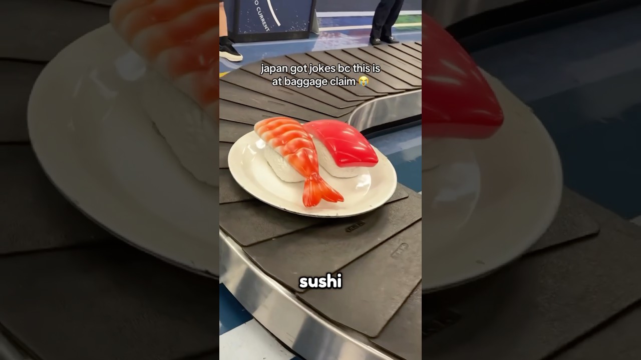 Funny Japanese Airport Moments 😂