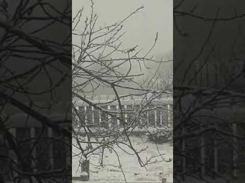 Снег в посёлке Итака Забайкальского края 21 мая