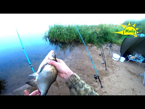 Рыбалка С Ночёвкой. Донки на Леща. Жаркое Лето 2024