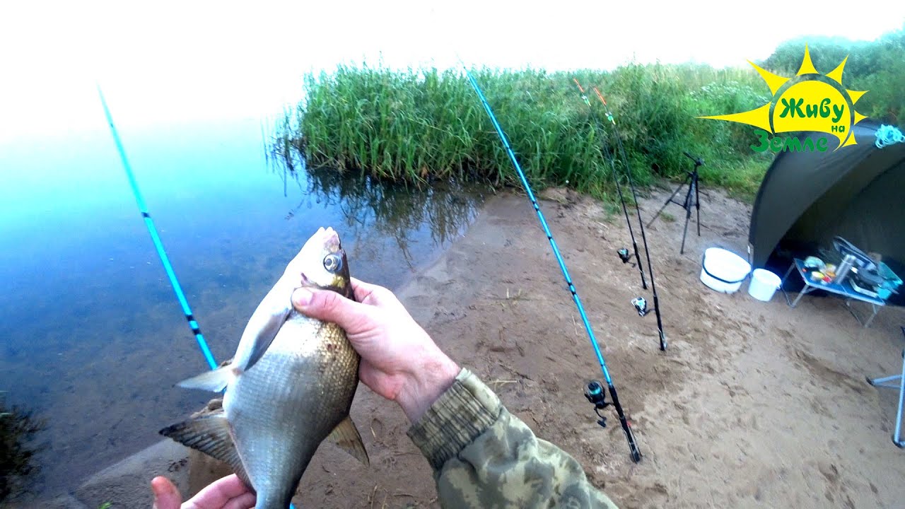 Ночная рыбалка с донками на леща — жаркое лето 2024 🌙
