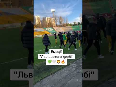 Бійка😱🔥💚🤍 #рек #футбол #карпати #львів #емоції