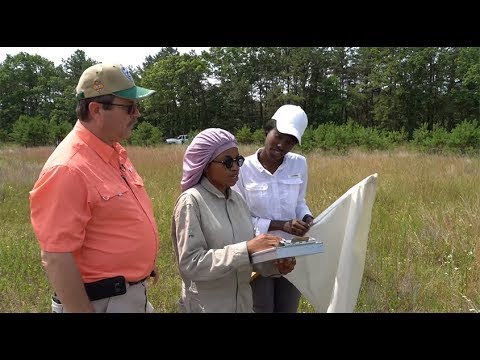 2019 Summer Internship Programs at Brookhaven National Laboratory