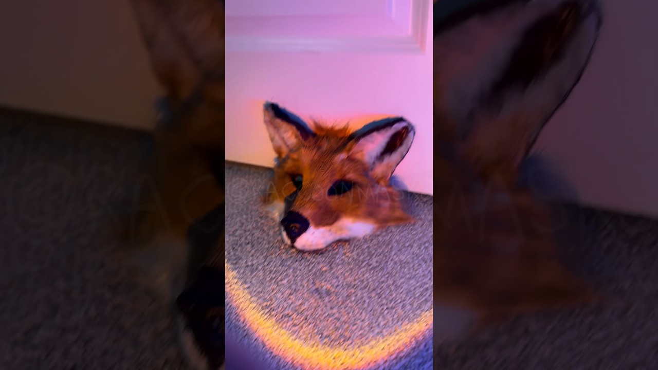 Red Fox Mask Craft 🦊