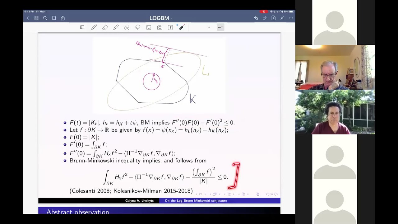 Galyna Livshyts Explores the Log-Brunn-Minkowski Conjecture at Georgia Tech 🔍