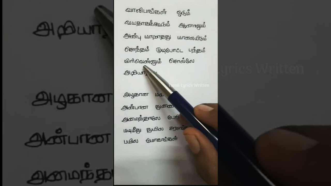 Kalyana Maalai Song Lyrics | SPB & Jayachandran 🎶