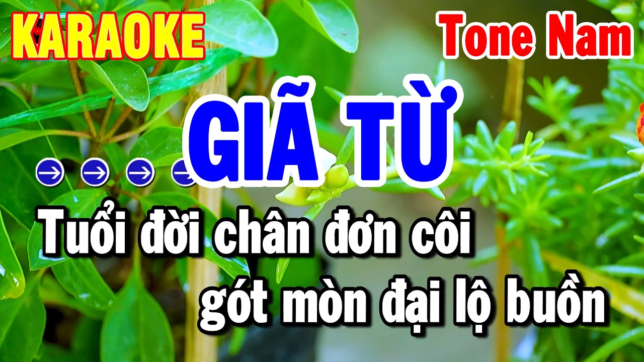 Karaoke Giã Từ Tone Nam Nhạc Sống Beat Dễ Hát 🎤