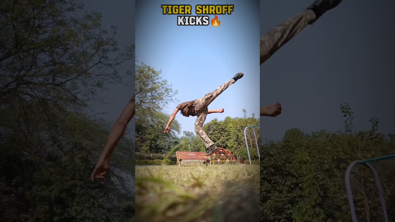 Tiger Shroff's Powerful Taekwondo Kick 🥋
