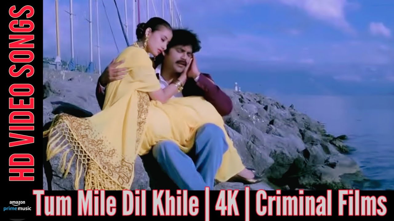 Tum Mile Dil Khile HD Song from Criminal (1994) | Nagarjuna & Manisha Koirala 🎶