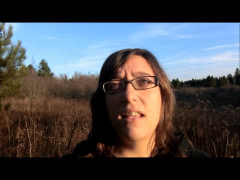 Book Review 4: The Keys to the Street by Ruth Rendell