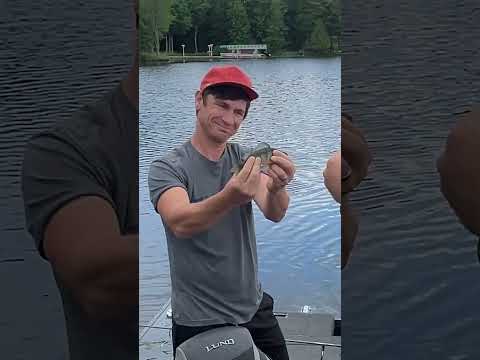 Going in vacation without women #shorts