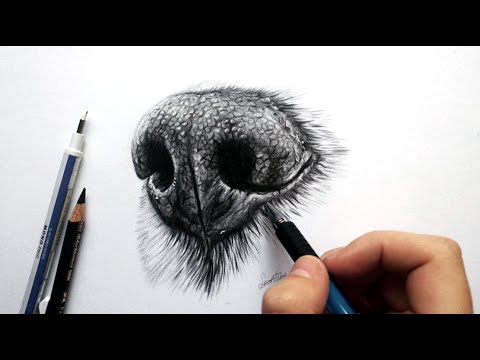 How to draw a realistic dog nose with graphite - Drawing tutorial | Leontine van vliet