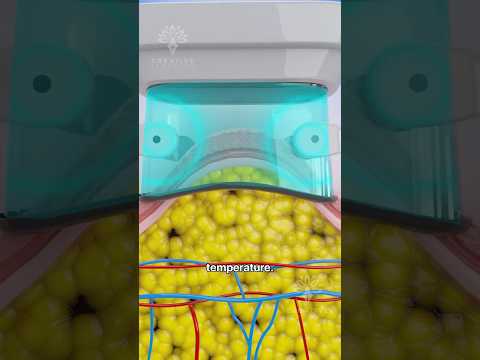 How Does Fat Freezing & Cryolipolysis Really Work 😲 #shorts #viralvideo - CREATIVELEARNING3D