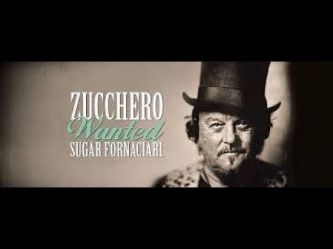 ZUCCHERO Live at Arena di Verona 2017 🎶