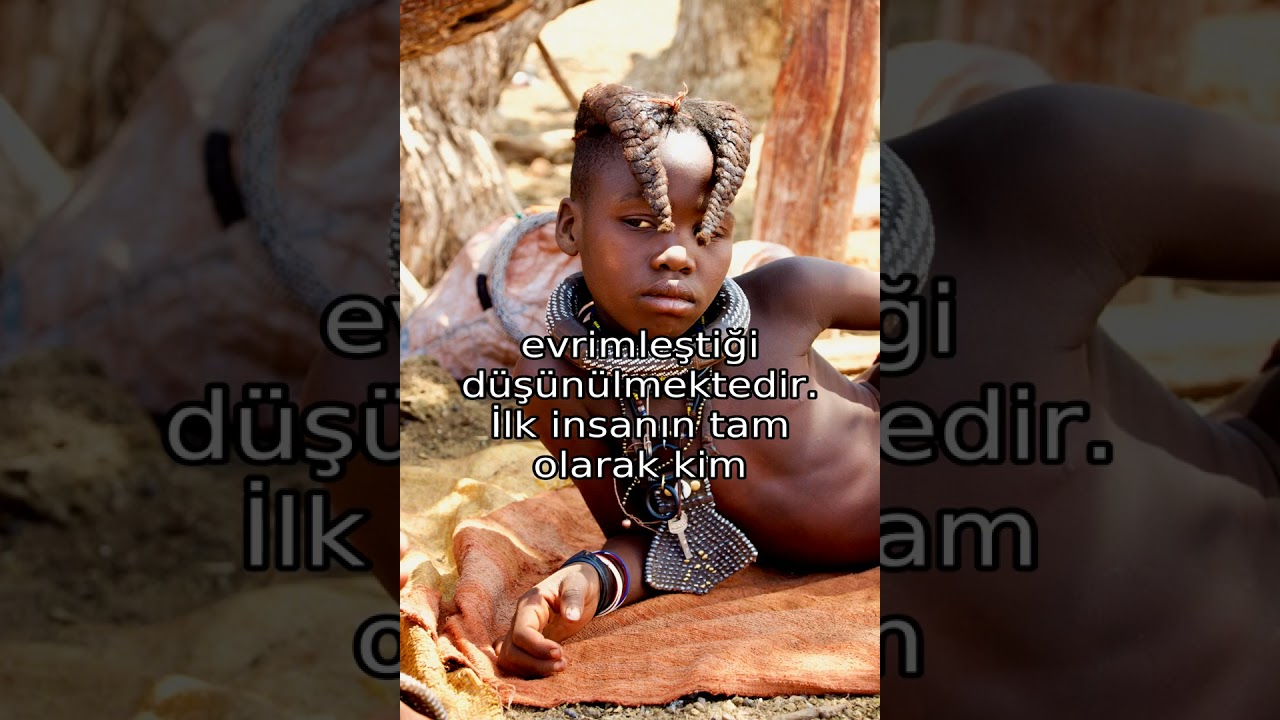 İlk İnsan Hangi Kıtada Doğdu? Güncel Bilgiler 🌍