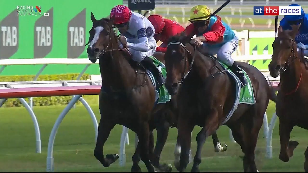 KA YING RISING Wins The Everest 🏆