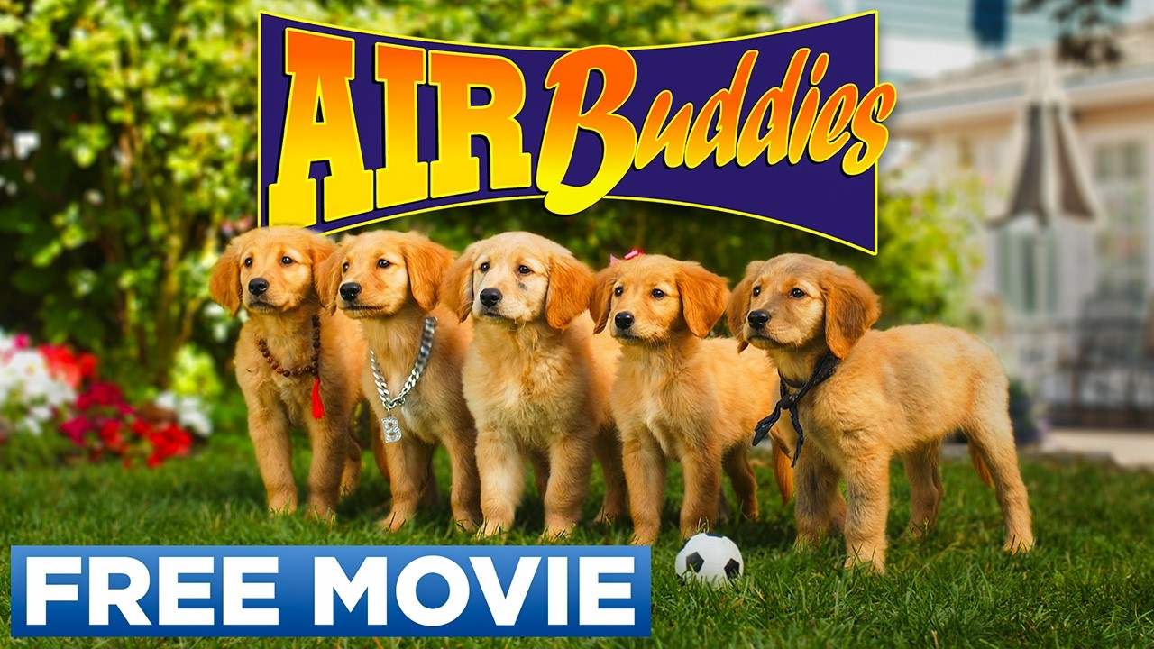 Air Buddies: New Generation of Cute Rescuers 🐶