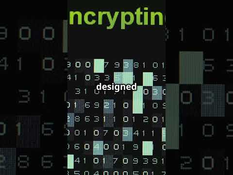 Quantum Algorithm That Can Break the Internet! Are We Safe? The Principle of Programming Language